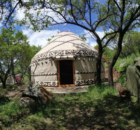 Turan Luxury Handmade Yurt